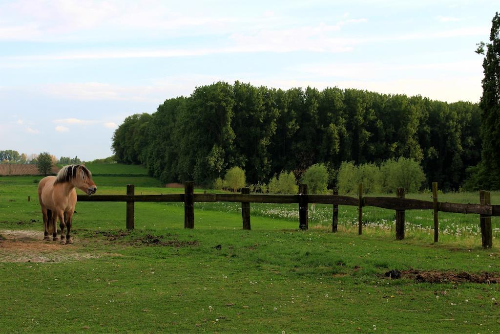 B&B Laurus Ypern Exterior foto